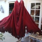 Mysterious figure in red cape near dragon lamp post and wooden door