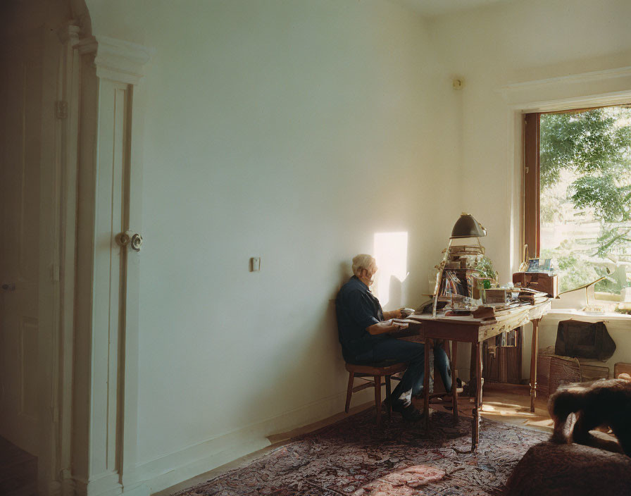 Person working at desk in cozy room with pet and greenery view