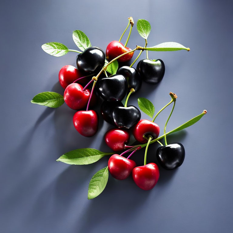 Fresh Glossy Cherries with Stems on Grey Background