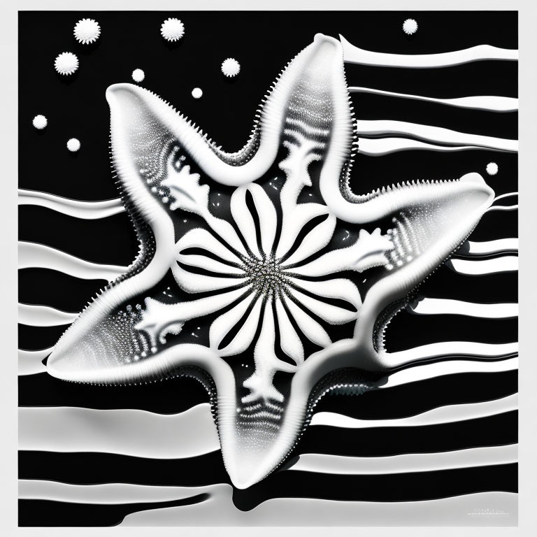 Monochromatic star-shaped abstract art with wavy lines and optical illusions