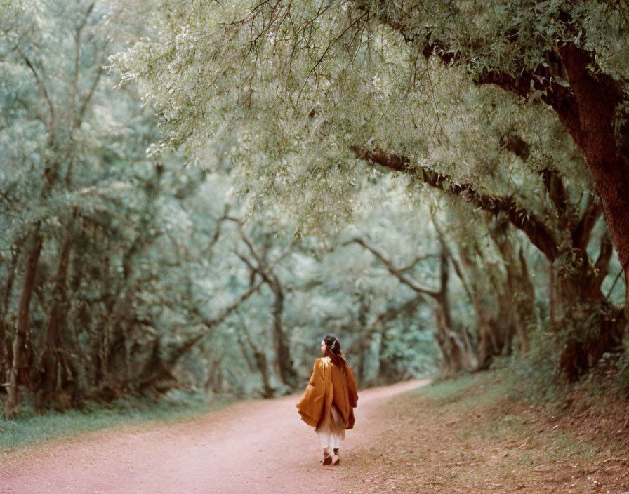 Person in Brown Coat Walking on Winding Path Through Green Forest