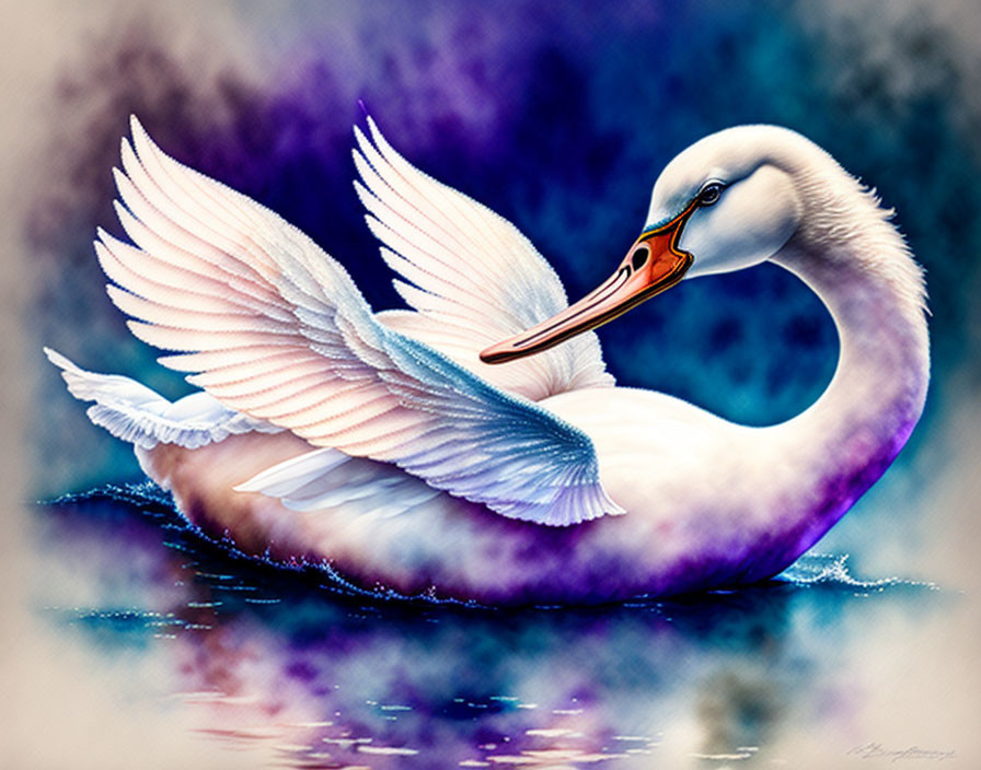 Colorful Pelican Illustration Floating on Water with Expanded Wings