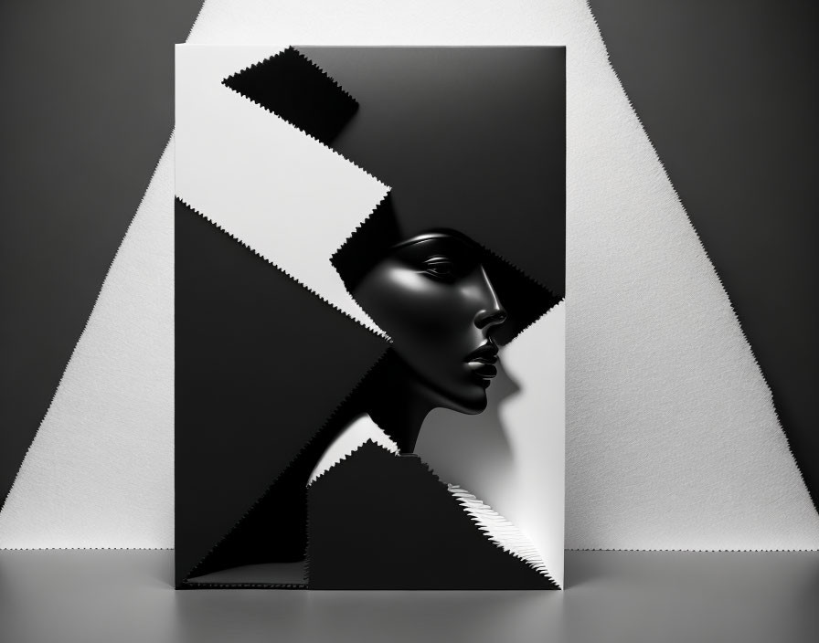 Surreal female profile art with black and white geometric patterns on gray background