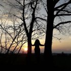 Person silhouette amidst trees at sunset with Asian structure.