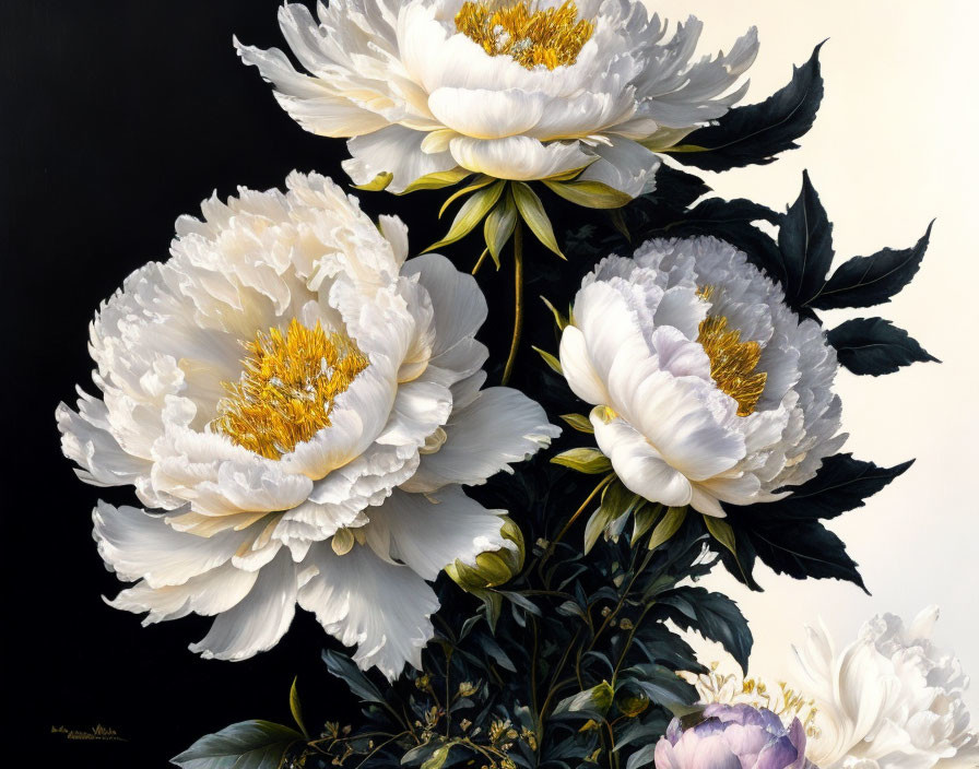 Realistic White Peonies Painting with Dark Leaves on Black Background