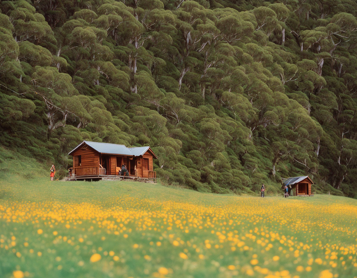 Rustic cabin in blooming meadow with yellow flowers and lush green trees