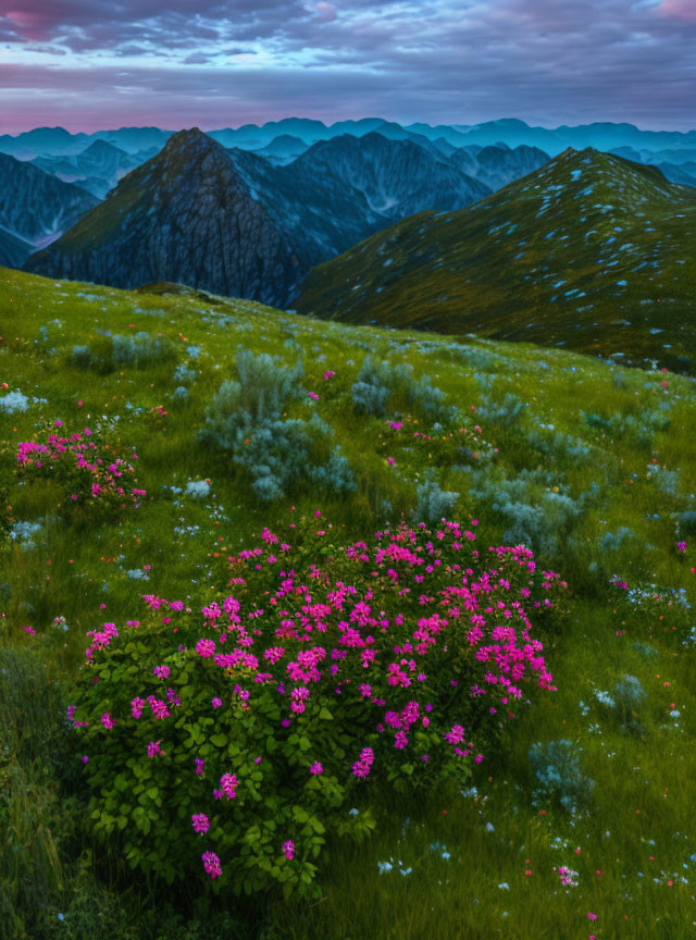 Scenic mountain landscape with greenery, wildflowers, and twilight sky.