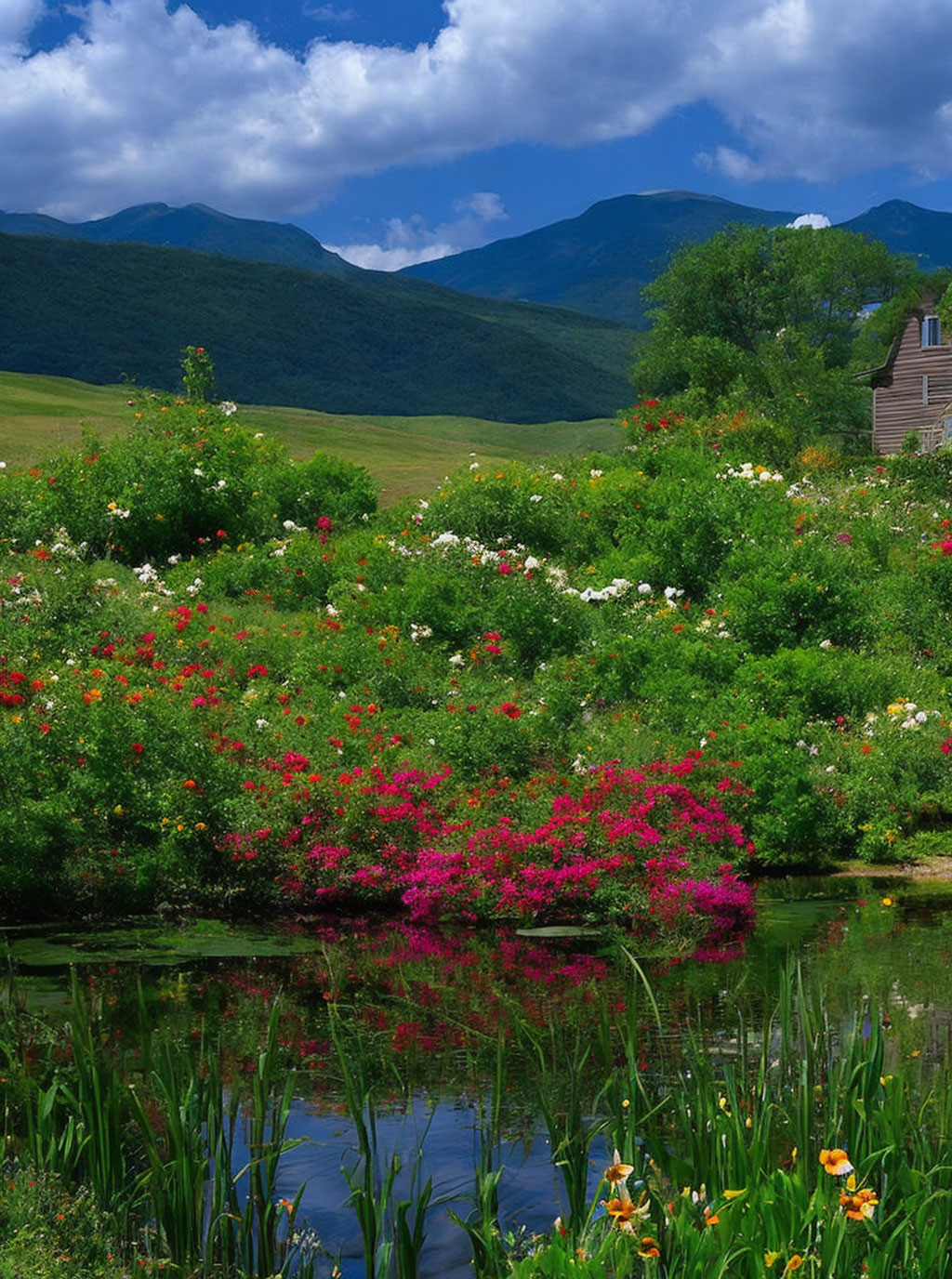 Colorful Flower Garden by Pond with Wooden House & Mountains