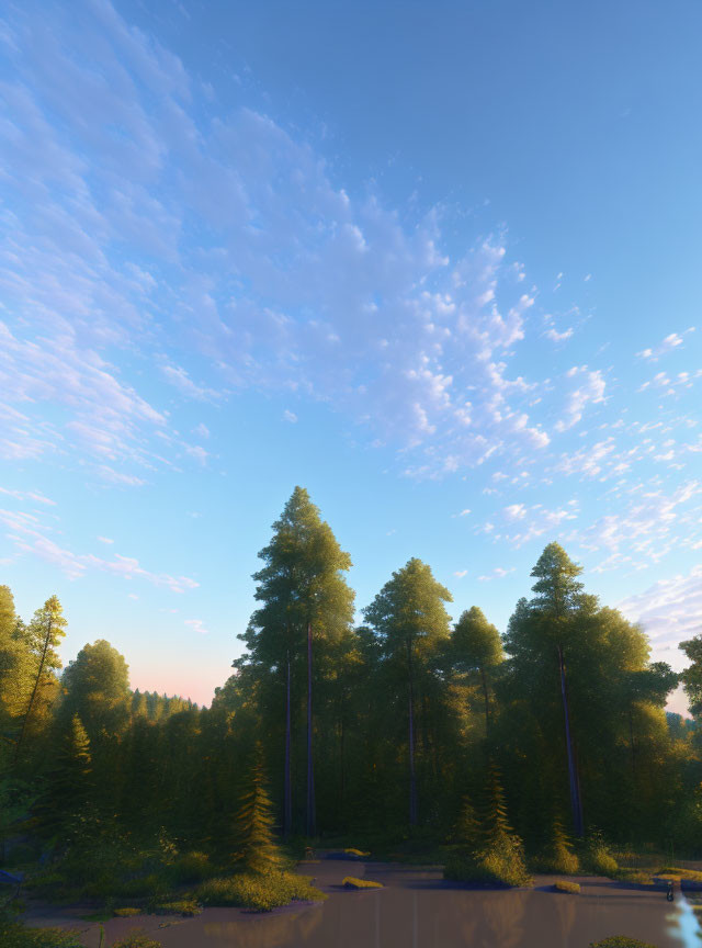 Vibrant forest scene: tall green trees under blue sky