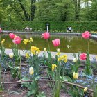 Vibrant pink tulips in lush garden with fairy-tale castles & water features