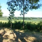 Tranquil landscape with winding path, towering trees, wildflowers, rolling hills under clear sky