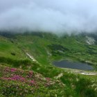 Tranquil landscape: winding river, lush greenery, pink wildflowers, mist-covered hills