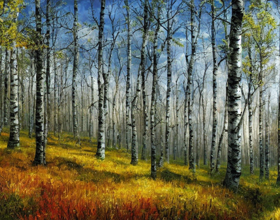 Tranquil forest landscape with birch trees, yellow grass, and red foliage