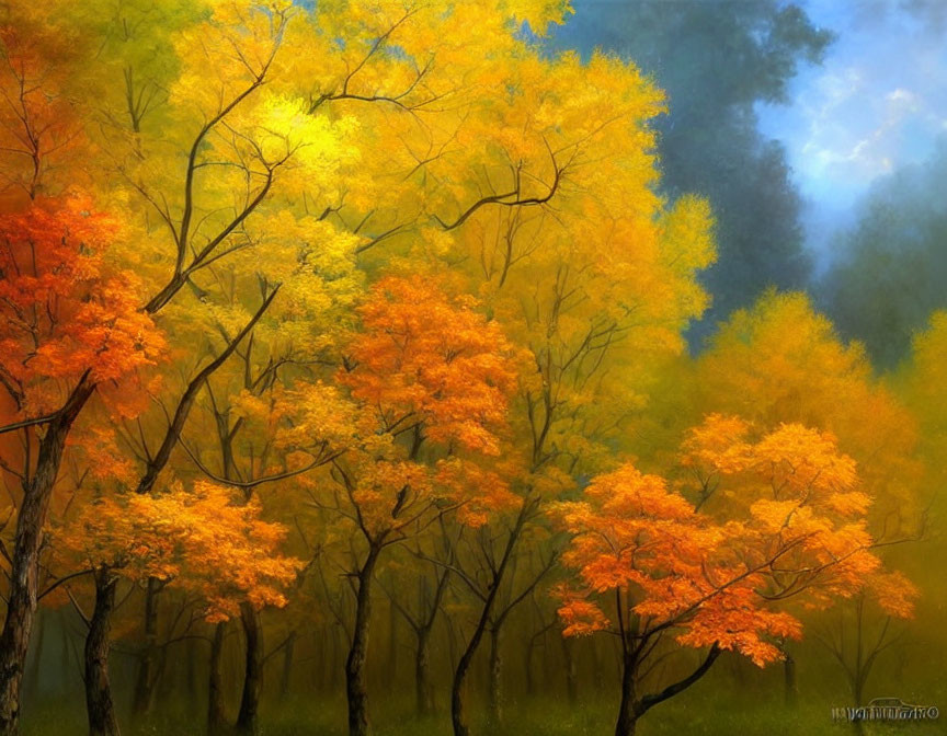 Autumn forest with vibrant yellow and orange leaves