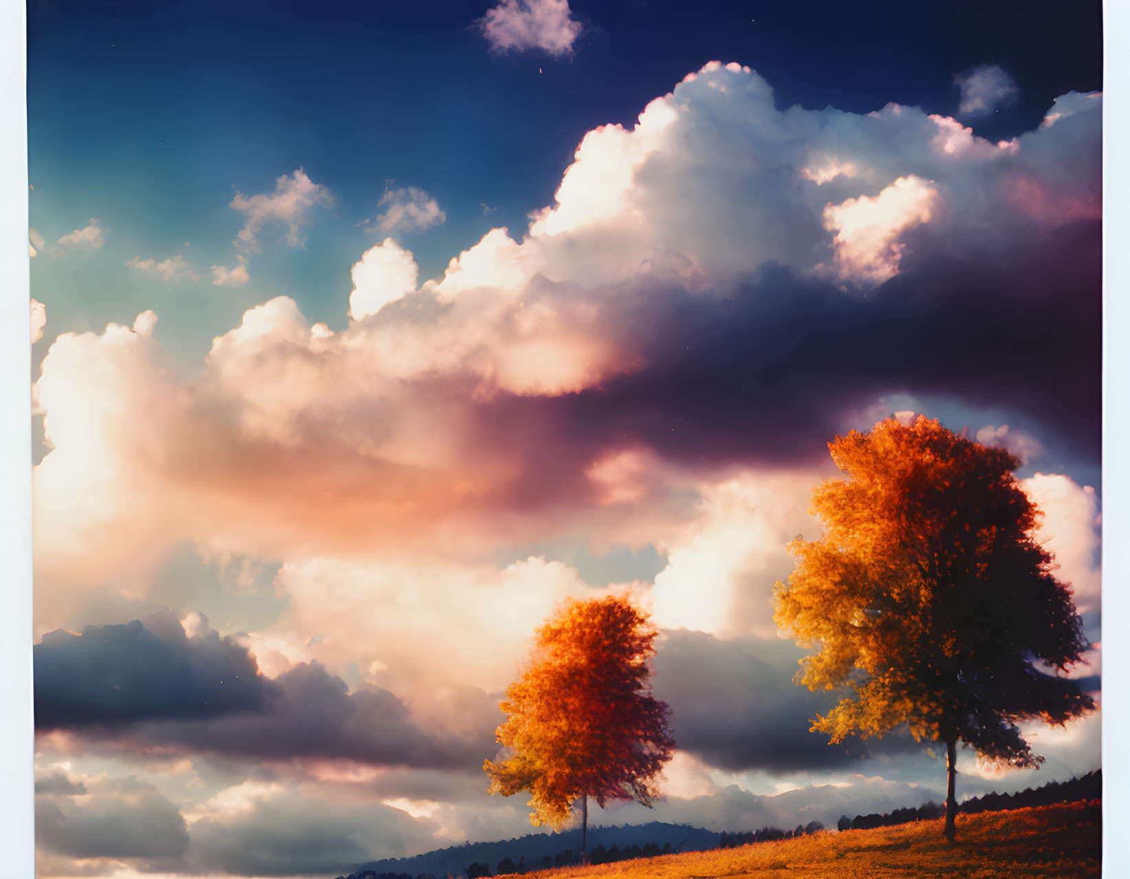 Colorful sunset sky over two autumn trees