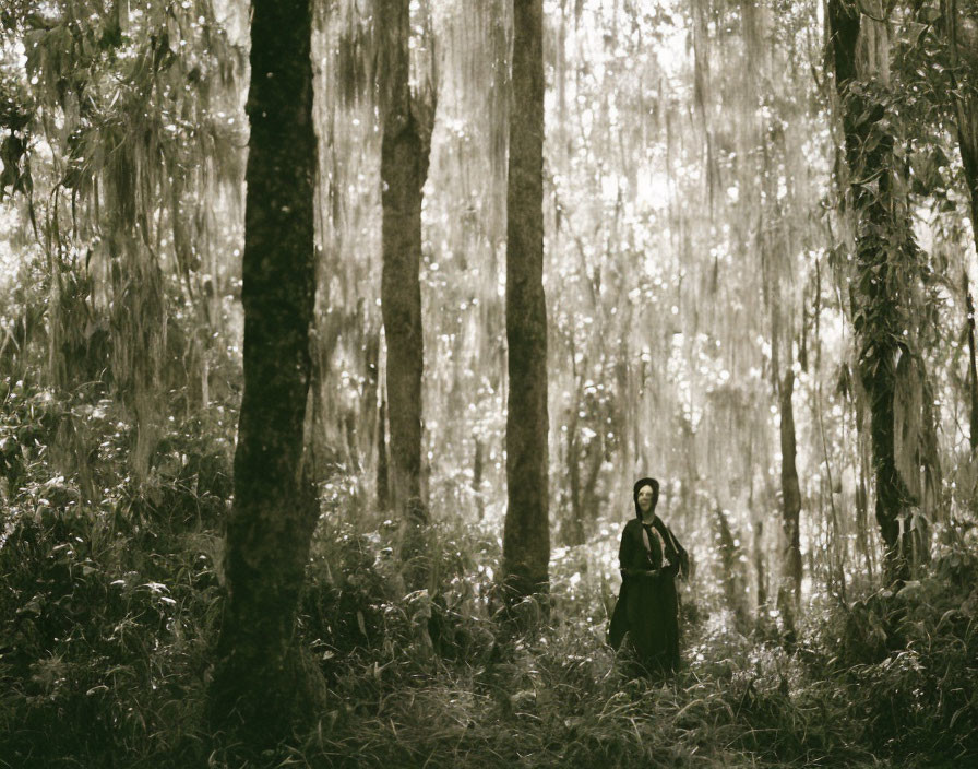 Monochrome image of person in forest with hanging vines and moss