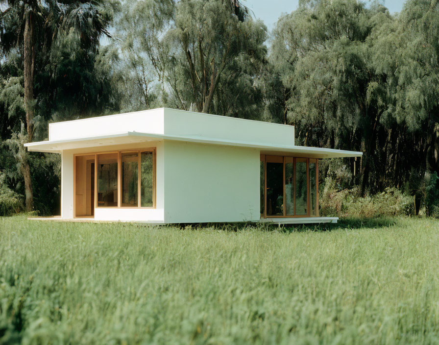 Spacious single-story house with large windows in green natural setting