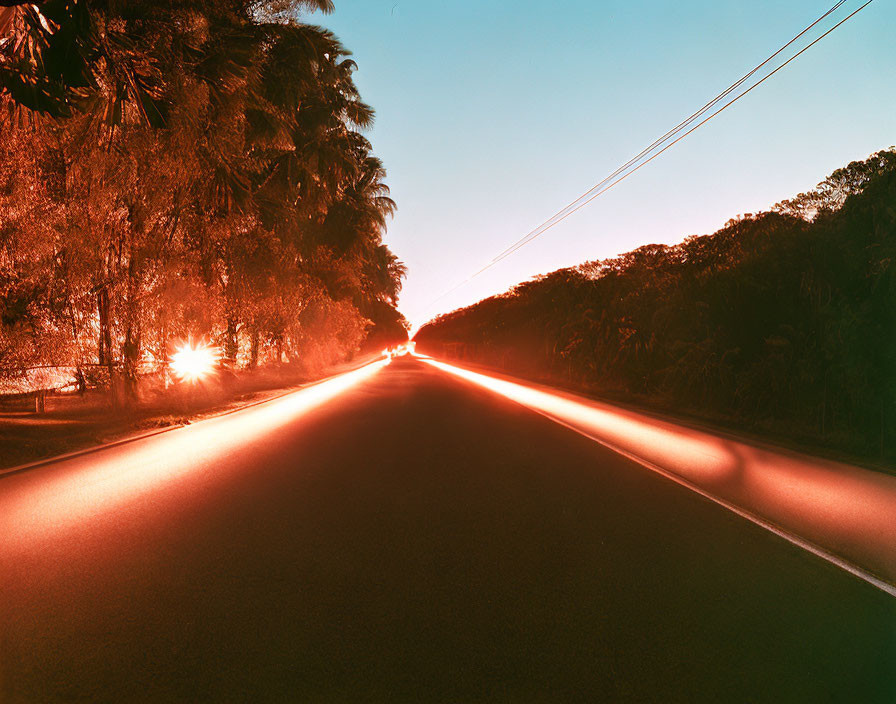 Dusk road scene with sun glare, headlights, greenery, and power lines