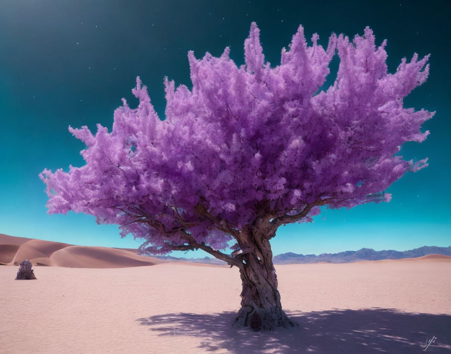 Vibrant purple tree in serene desert landscape