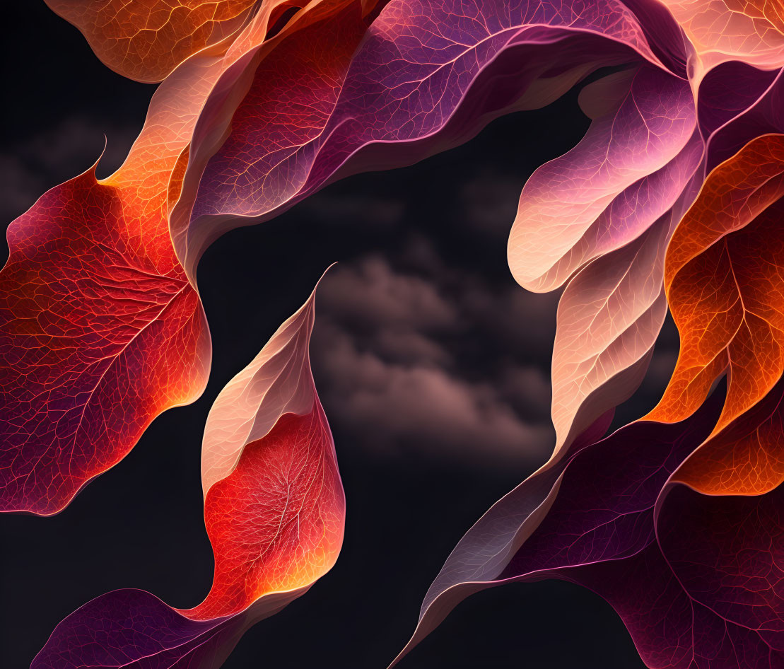 Vivid translucent leaves with vein-like structure on dark background