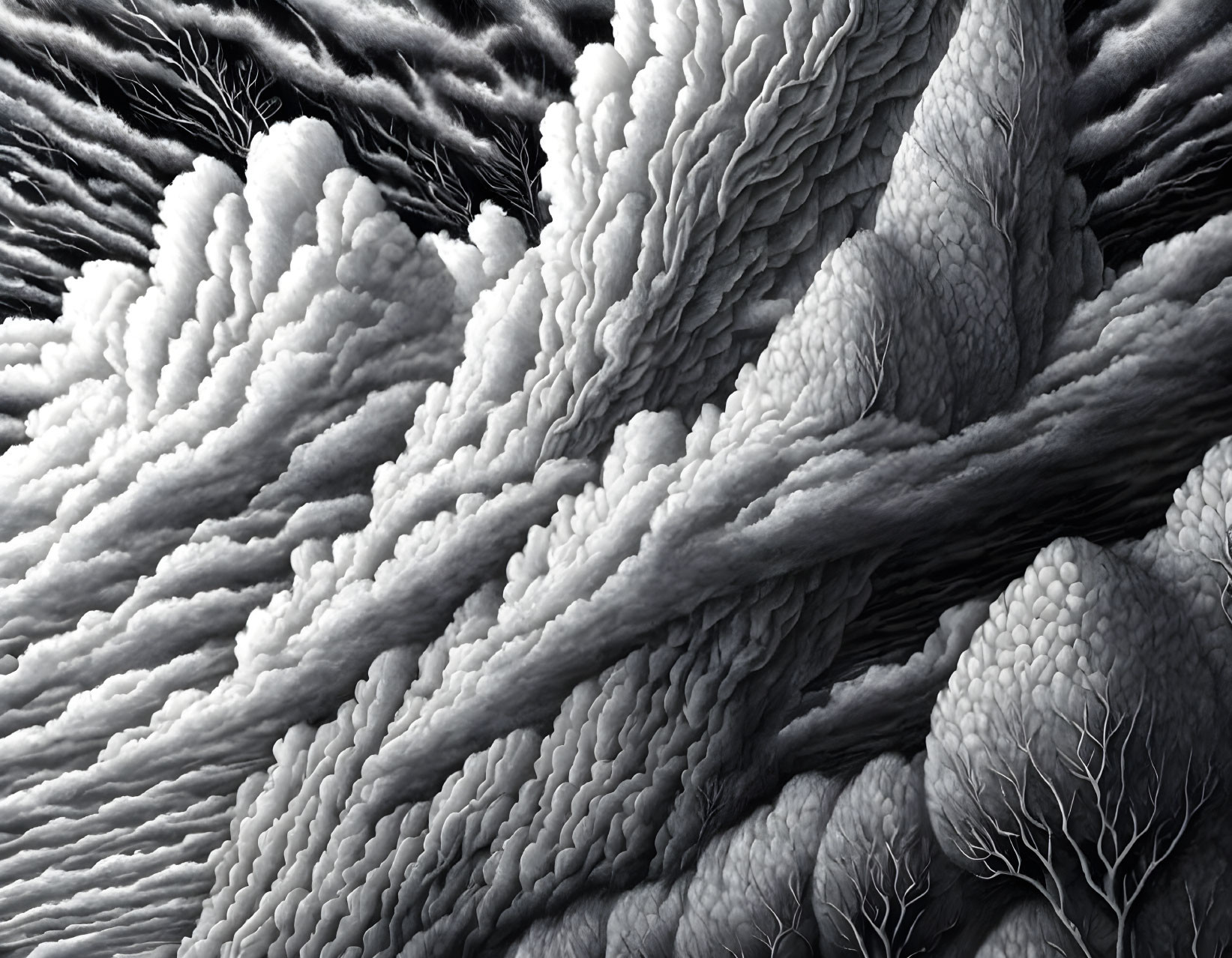 Monochrome Textured Patterns of Organic Coral-like Structures