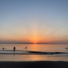 Scattered frozen droplets at vibrant sunrise over water