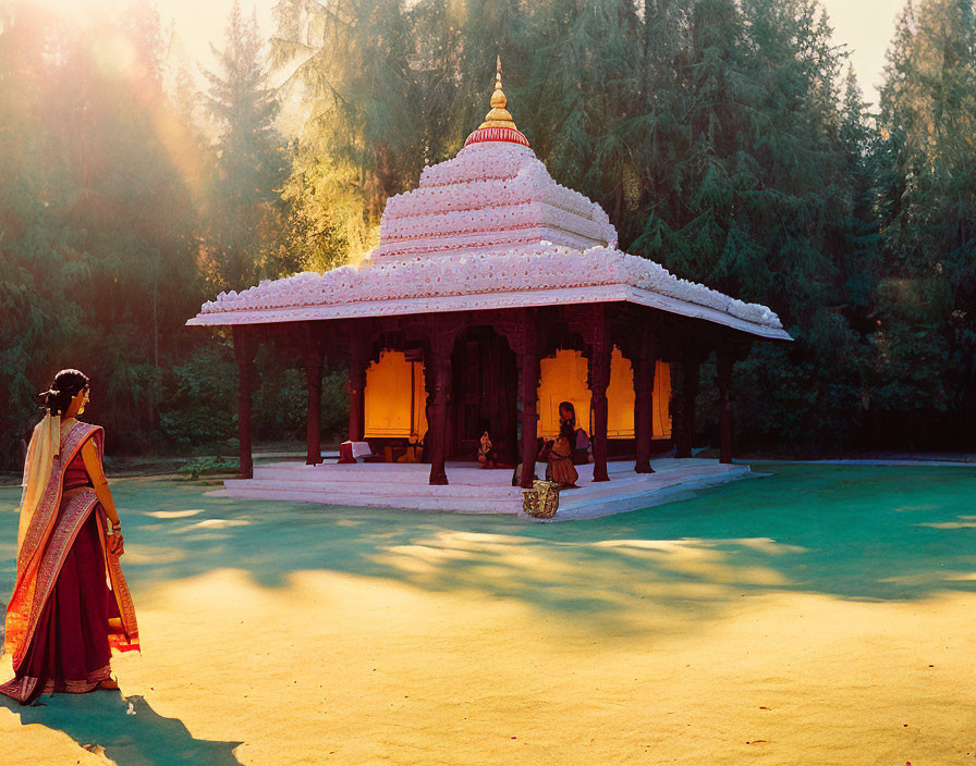 Traditional Indian Attire Woman Observing Temple and Trees in Sunlight