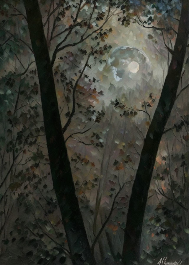 Nighttime Forest Scene with Full Moon and Dense Foliage