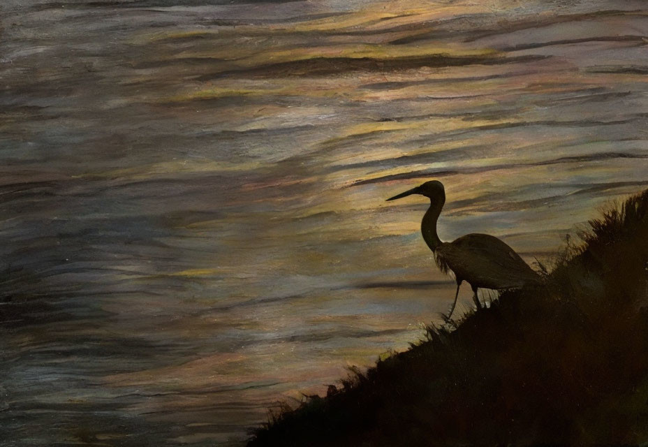 Heron by Water's Edge at Dusk with Sunset Reflections