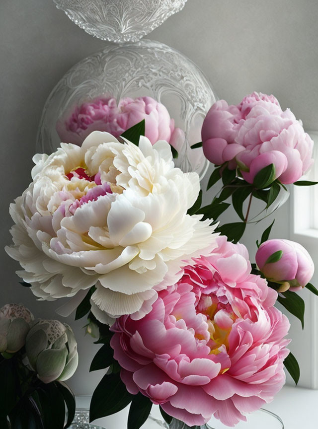 Lush Pink and White Peonies Bouquet on Soft-lit Neutral Background