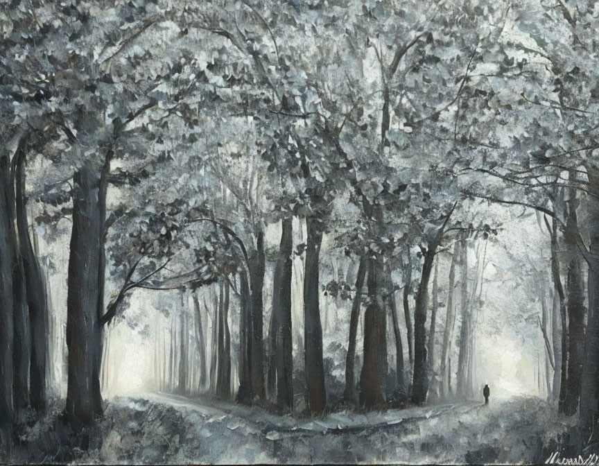 Tranquil misty forest path with tall trees and dappled light