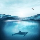 Tranquil underwater whale scene with sunbeam and fish in blue gradient