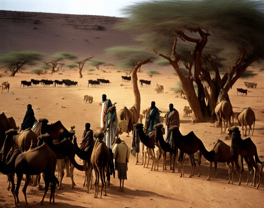 Desert scene: People on camels under a tree with camel herd.