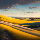 Sunset over rolling golden fields with shadowed undulating landscape