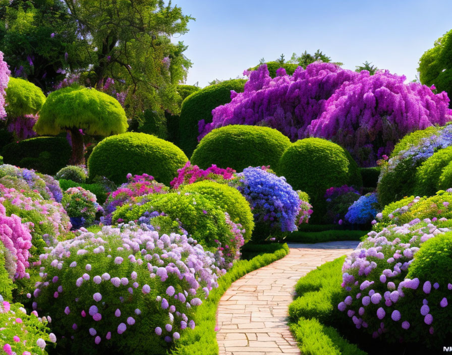 Colorful garden path with lush green topiaries and vibrant flowers under clear blue sky