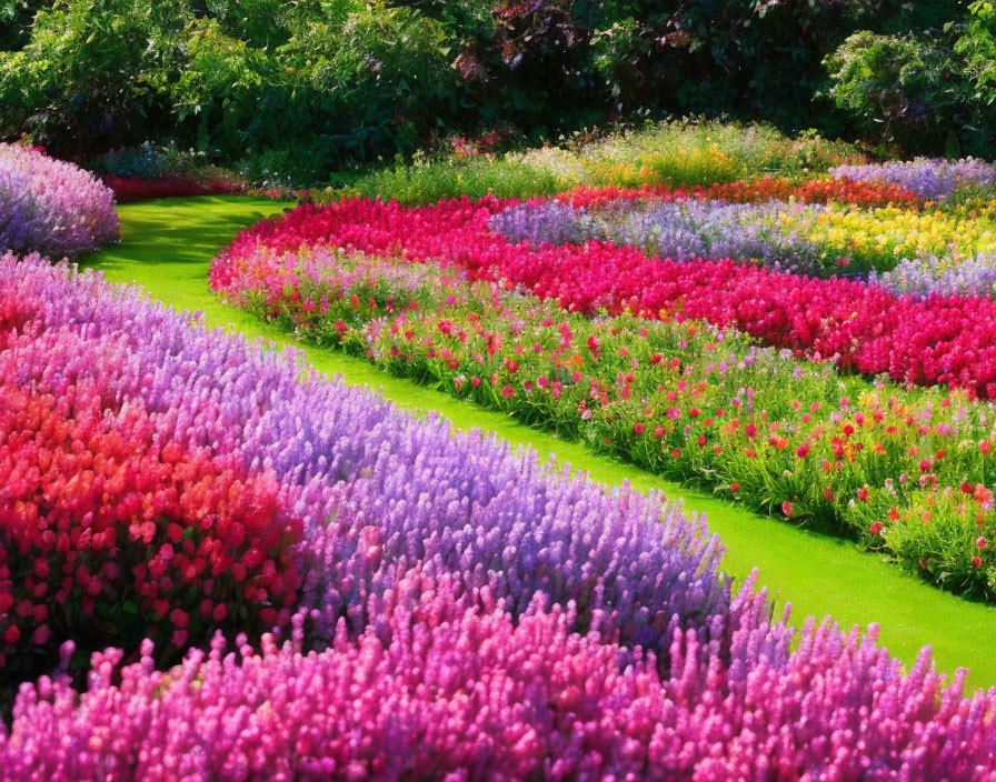 Colorful Flower Beds Along Winding Grass Path in Sunlight