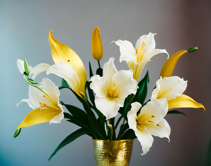 Yellow and White Lilies in Golden Vase on Blue Background