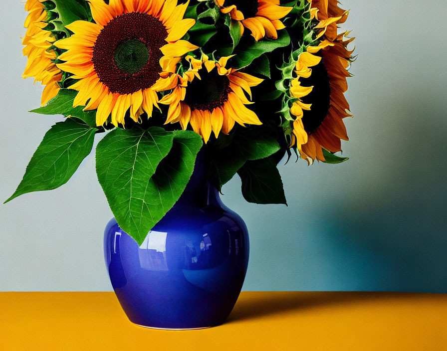 Vibrant sunflowers bouquet in blue vase on yellow surface