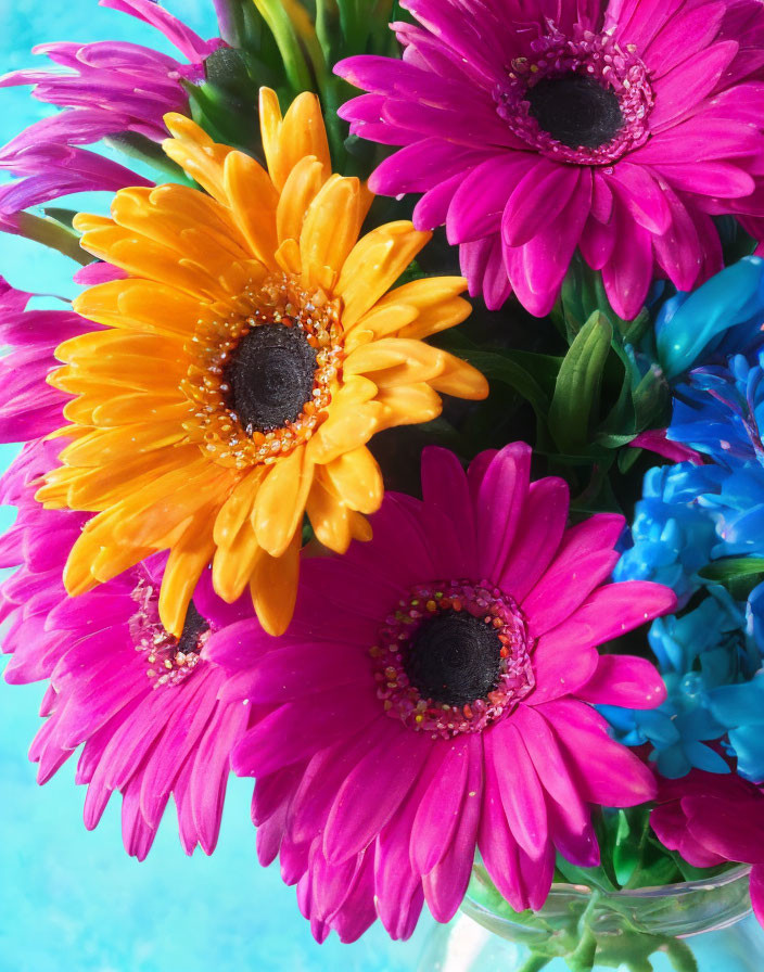 Colorful Gerbera Daisies Bouquet with Water Background