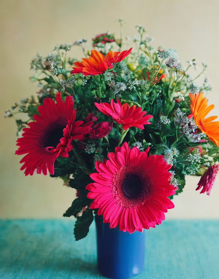 Colorful Gerbera Daisies Bouquet in Blue Vase