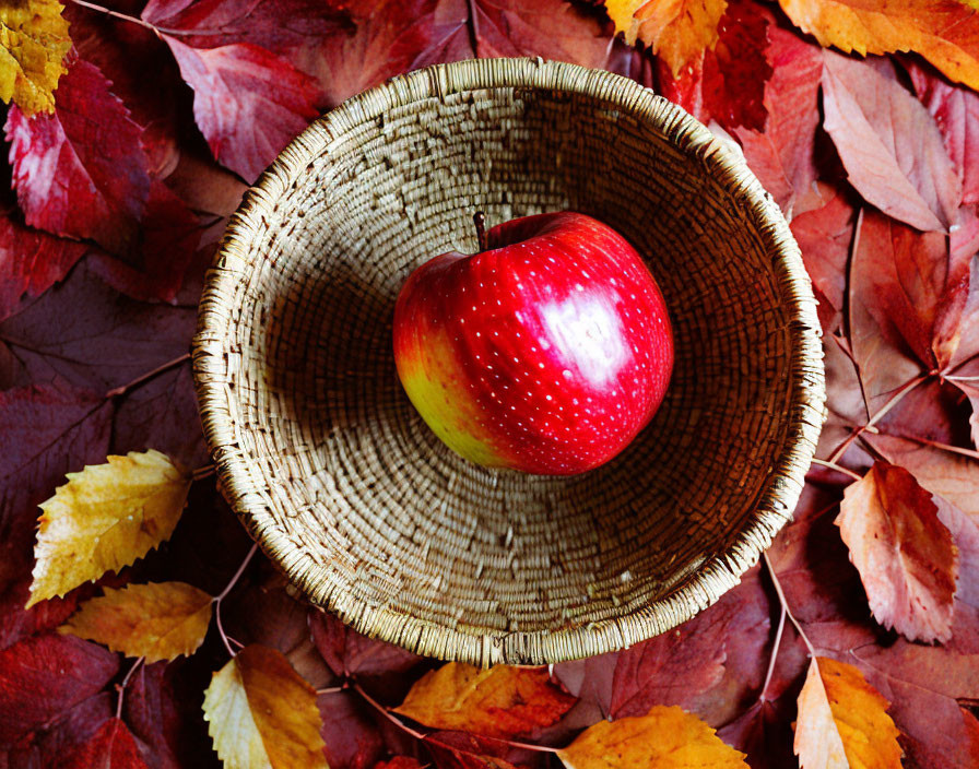 Ripe red apple in woven basket with autumn leaves