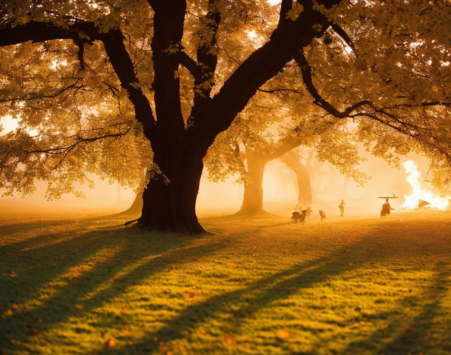 Serene park scene: person with dog under trees in golden sunlight