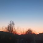 Tranquil neighborhood at sunset with vivid orange hues and silhouetted trees.