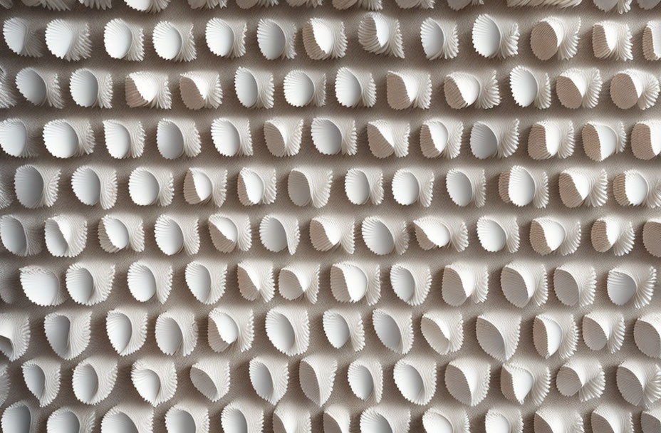 Neatly Arranged Seashell-Shaped Pasta with Sunlight Shadows