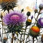 Vibrant thistle flower painting with abstract style