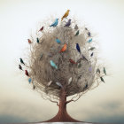 Colorful bird-filled tree illustration in foggy setting