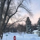 Winter scene: Person walking to cottages in snowfall