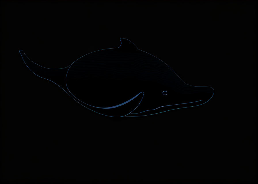 Dolphin outline in neon blue on black background