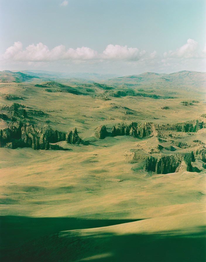 Rolling hills with trees under cloudy sky - serene nature scene.