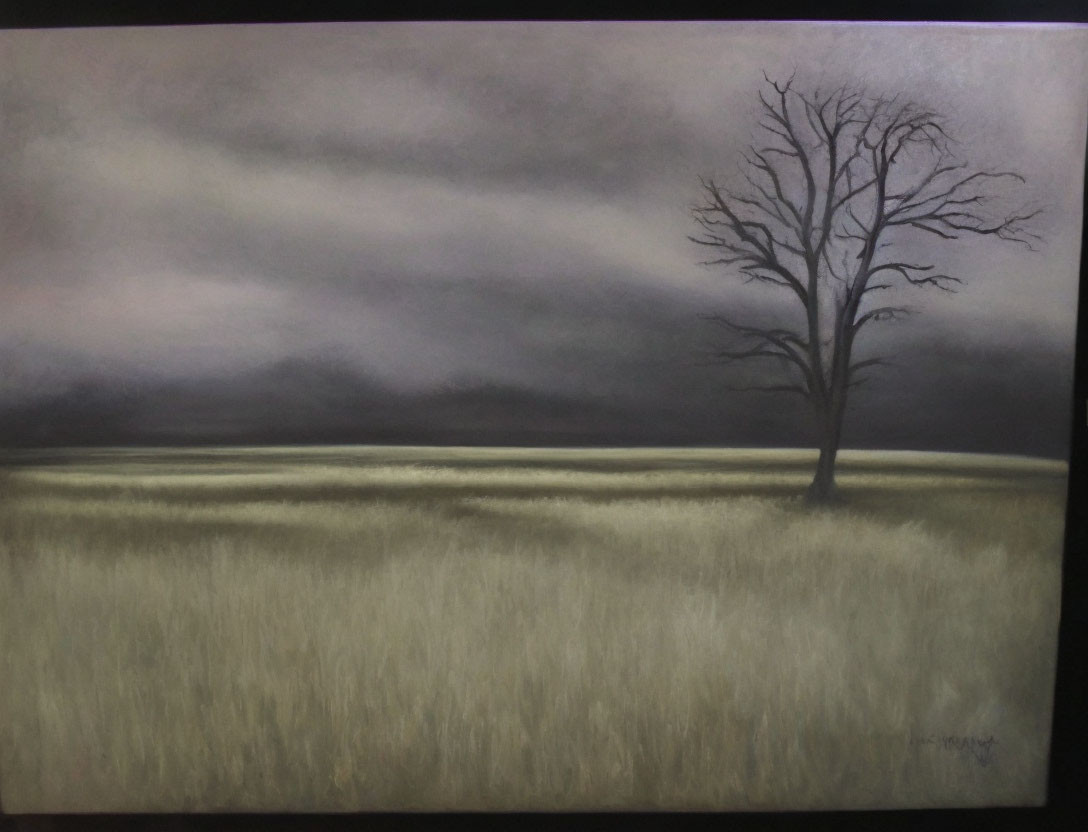 Leafless Tree in Field with Tall Grass under Dusky Sky